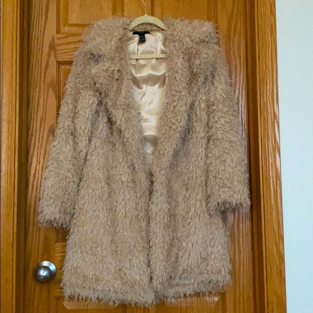 Teddy/ shaggy coat